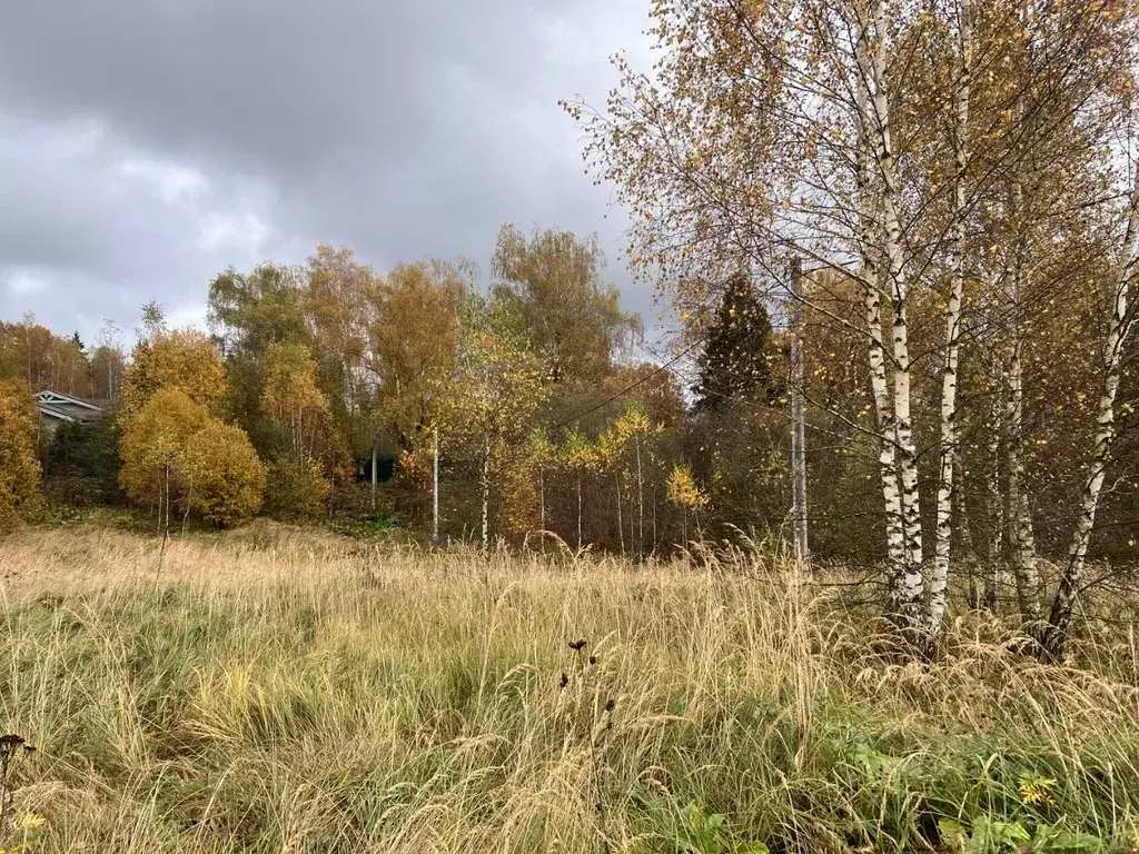 Участок в Московская область, Рузский муниципальный округ  (12.0 сот.) - Фото 2