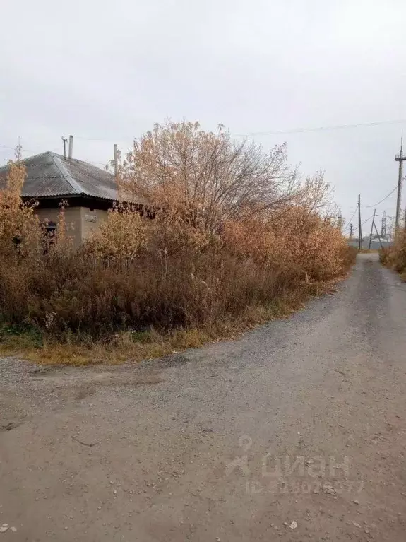 Дом в Курганская область, Курган ул. Анфиногенова (96 м) - Фото 1