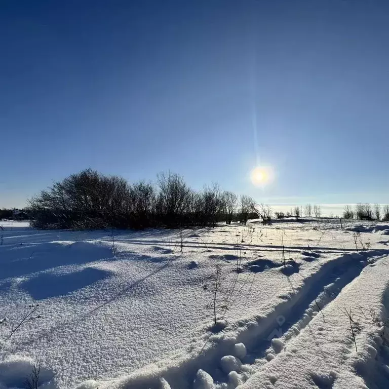 Участок в Ленинградская область, Ломоносовский район, Ропшинское ... - Фото 1