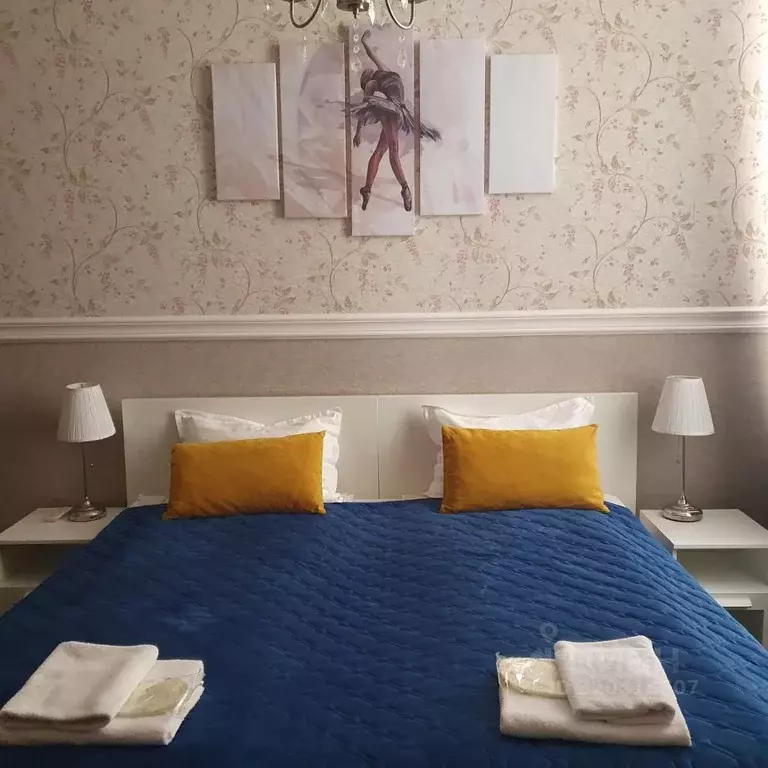 Комната Санкт-Петербург наб. Канала Грибоедова, 61 (16.0 м) - Фото 2