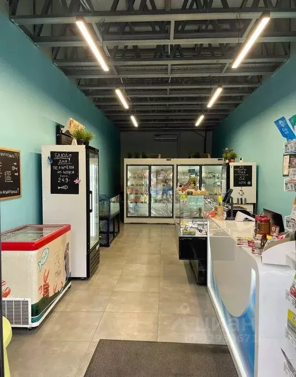 Торговая площадь в Московская область, Чехов ул. Уездная, 19Б (48 м) - Фото 1