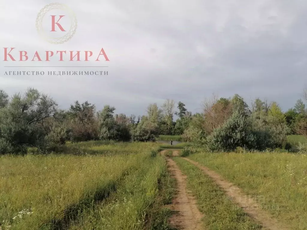 Участок в Оренбургская область, Сакмарский район, Татаро-Каргалинский ... - Фото 2