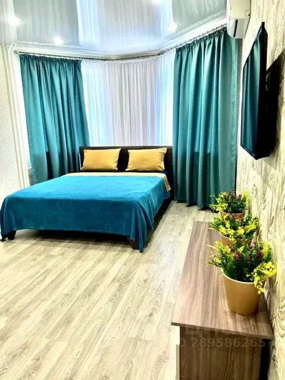 1-к кв. Волгоградская область, Волгоград ул. Маршала Еременко, 42 ... - Фото 2