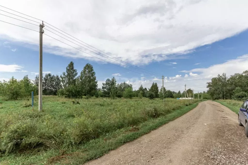 Участок в Алтайский край, Барнаул городской округ, пос. Бельмесево ул. ... - Фото 0