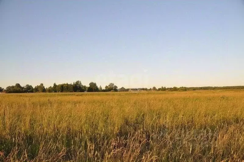 Участок в Московская область, Домодедово городской округ, д. Бехтеево  ... - Фото 1