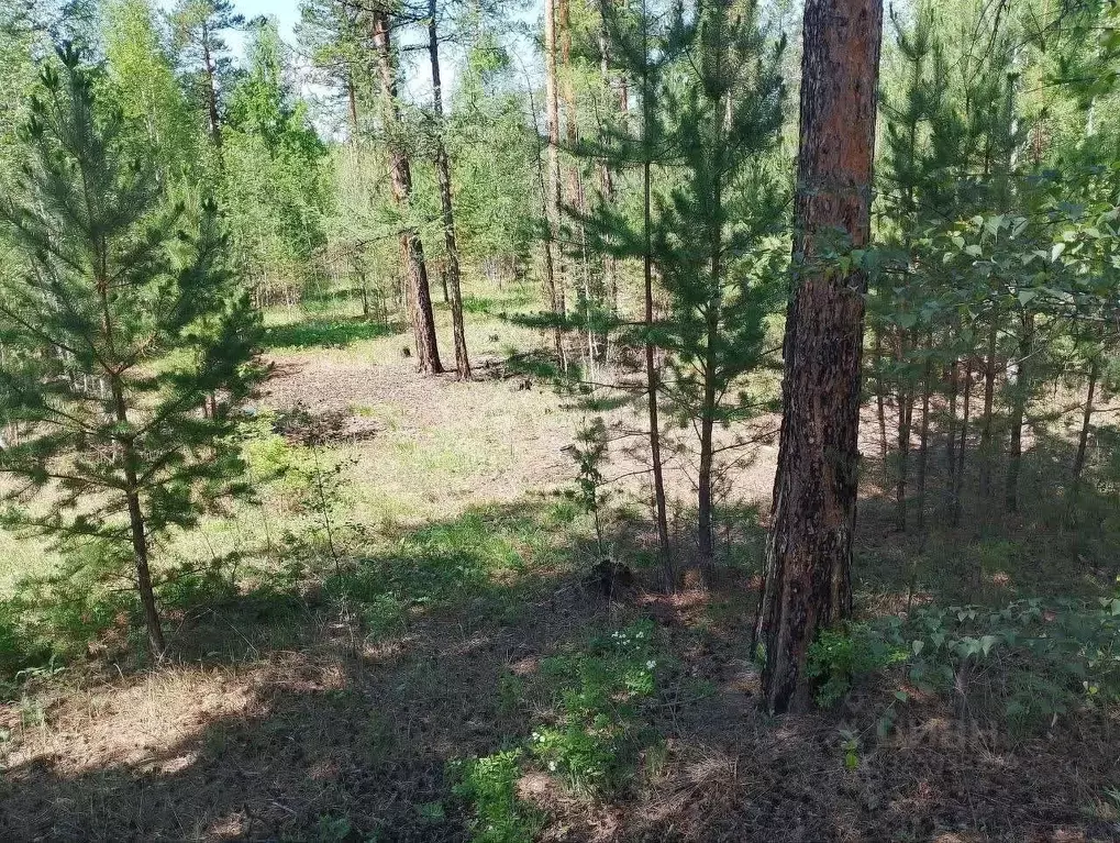Участок в Забайкальский край, Читинский район, с. Верх-Чита пер. Малый ... - Фото 2