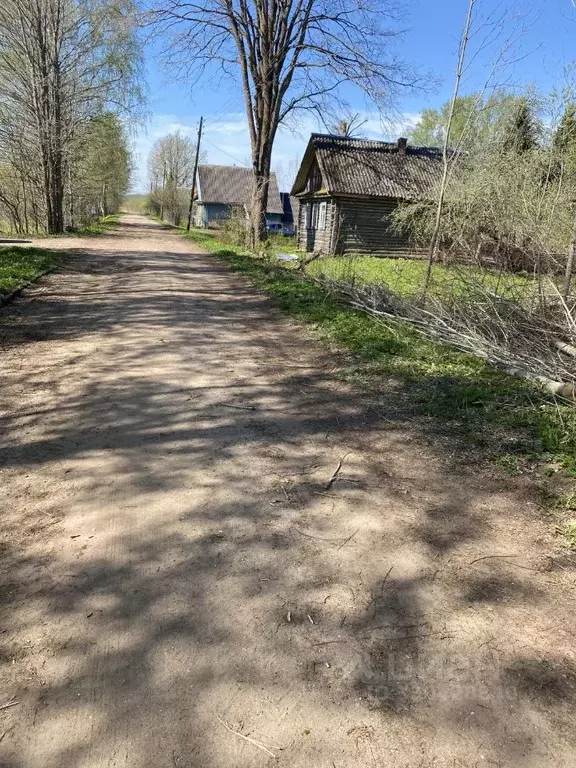 Дом в Новгородская область, Шимский муниципальный район, Подгощское ... - Фото 1