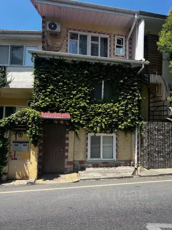 1-к кв. Краснодарский край, Сочи Новый Сочи мкр, ул. Санаторная, 42/34 ... - Фото 1