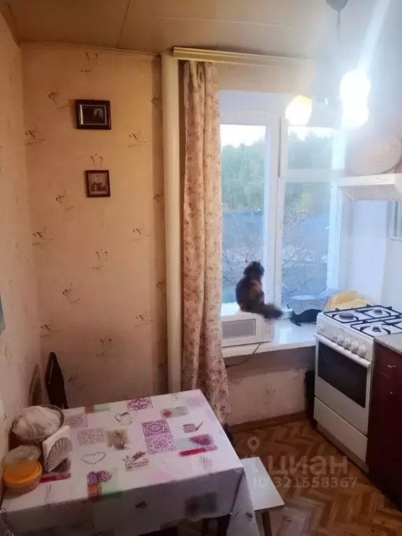 2-к кв. Московская область, Мытищи ул. 4-я Парковая, 24 (44.0 м) - Фото 1