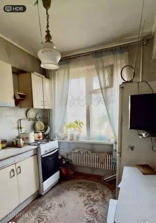 1-к кв. Брянская область, Брянск ул. Мира, 76 (30.2 м) - Фото 1