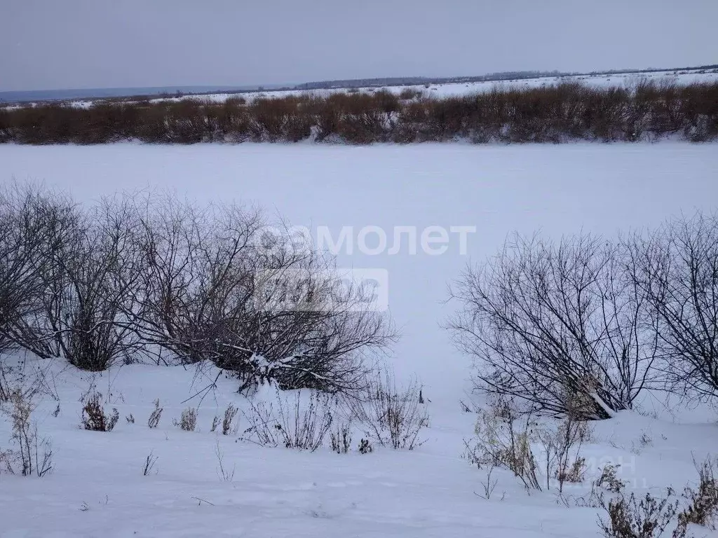 Участок в Тюменская область, Исетский район, д. Турушево Береговая ул. ... - Фото 1