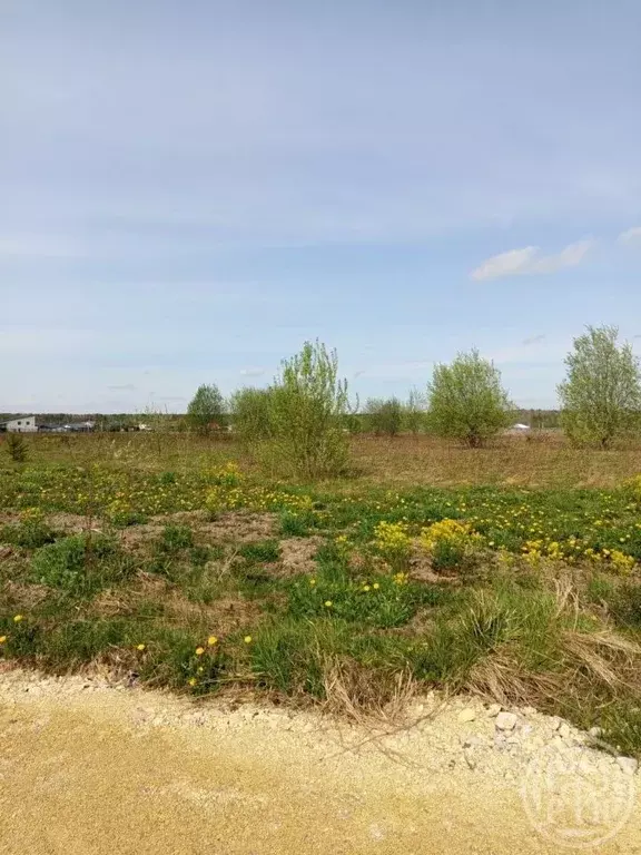 Участок в Ленинградская область, Ломоносовский район, Аннинское ... - Фото 2