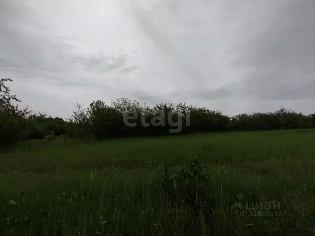 Участок в Белгородская область, Белгородский район, Беломестненское ... - Фото 1