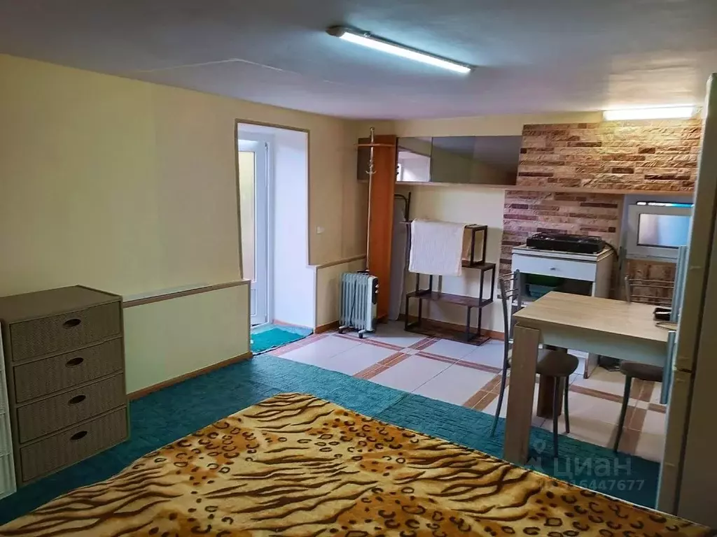 Студия Краснодарский край, Сочи ул. Яна Фабрициуса, 142 (20.0 м) - Фото 1