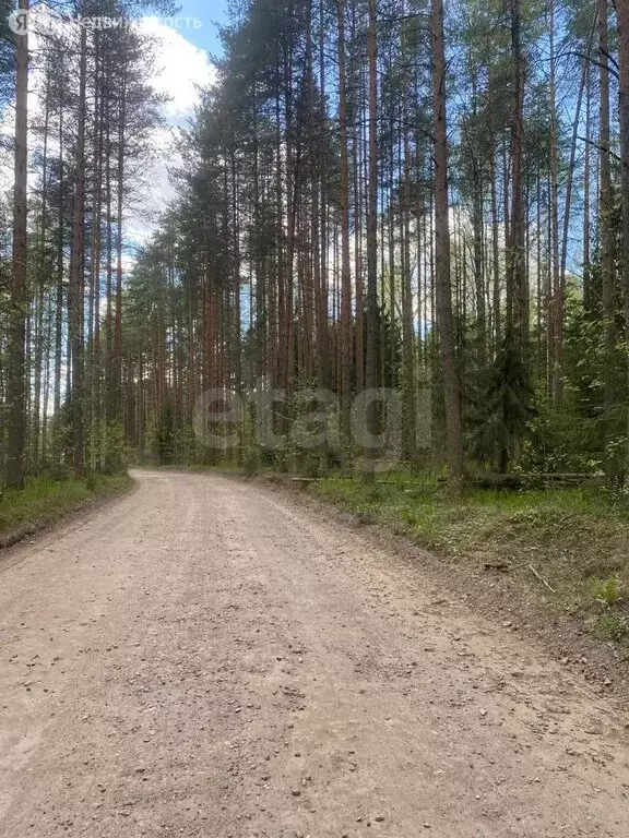 Дом в Мгинское городское поселение, СНТ Лотос, 10-я линия (40 м) - Фото 0