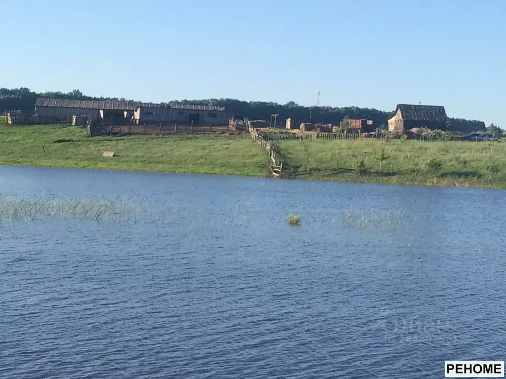 Участок в Саратовская область, Аркадакский район, с. Подгорное ... - Фото 2