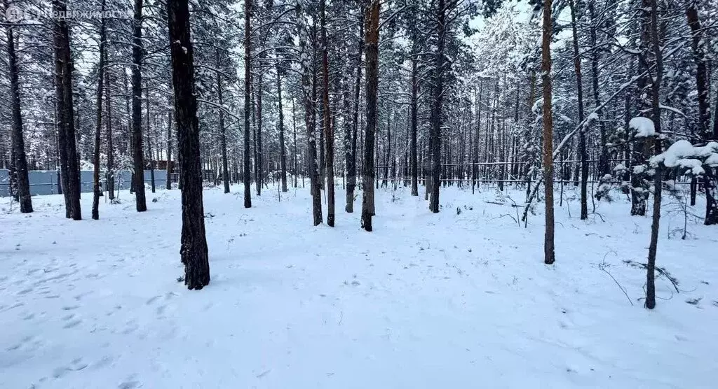 Участок в Якутск, ДСК Сосновый бор (10 м) - Фото 1