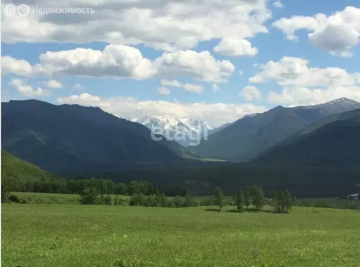 Участок в Усть-Коксинский район, село Катанда (815.4 м) - Фото 0