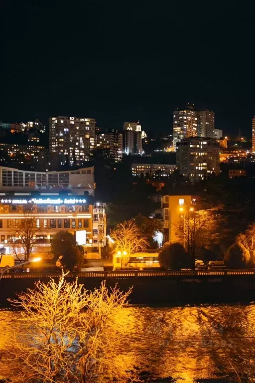 1-к кв. Краснодарский край, Сочи ул. Конституции СССР, 32 (34.0 м) - Фото 1