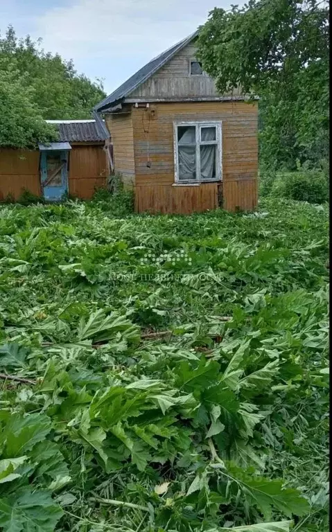 Участок в Московская область, Лотошино муниципальный округ, д. ... - Фото 2