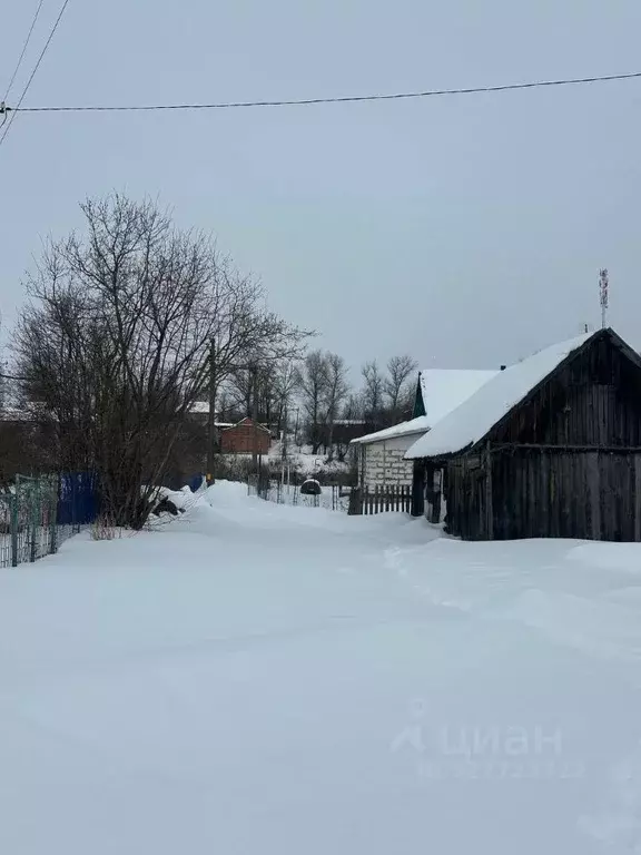 Участок в Псковская область, Островский район, Бережанская волость, д. ... - Фото 1