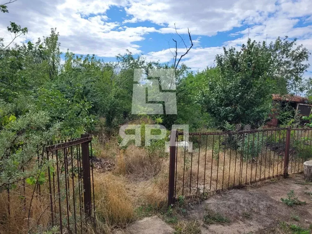 Участок в Ростовская область, Неклиновский район, Поляковское с/пос, ... - Фото 1
