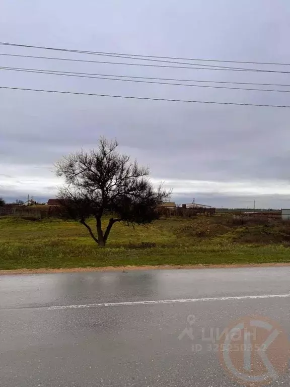 Участок в Крым, Сакский район, Ромашкинское с/пос, с. Колоски ул. ... - Фото 1
