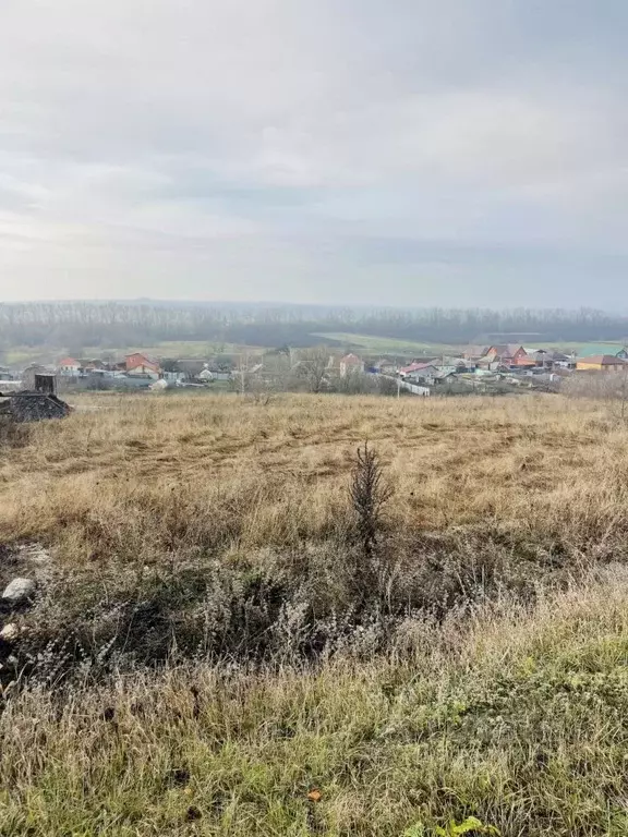 Участок в Белгородская область, Алексеевка ул. Центральная (15.0 сот.) - Фото 2