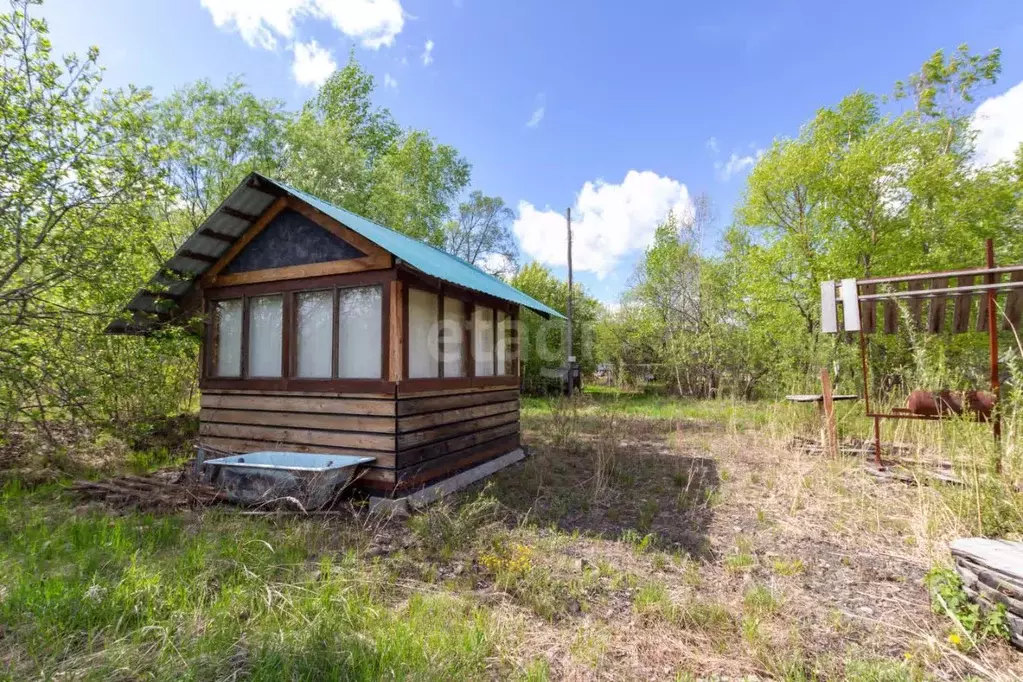 Участок в Еврейская автономная область, Смидовичский район, Минерал ... - Фото 2