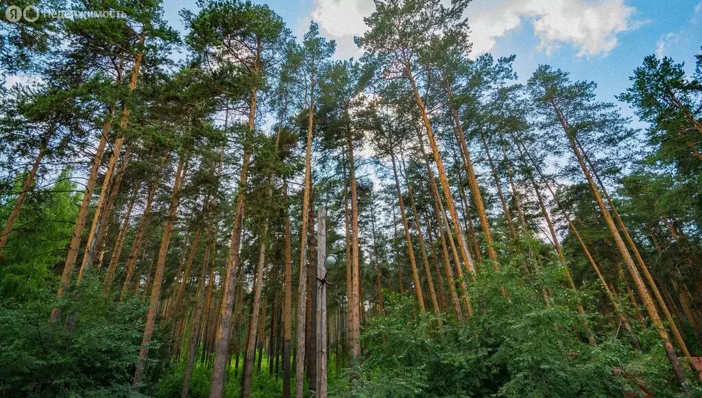Дом в Берёзовский, Комсомольская улица, 28А (366 м) - Фото 0