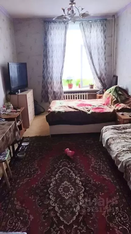 Комната Санкт-Петербург Новолитовская ул., 5 (18.3 м) - Фото 2