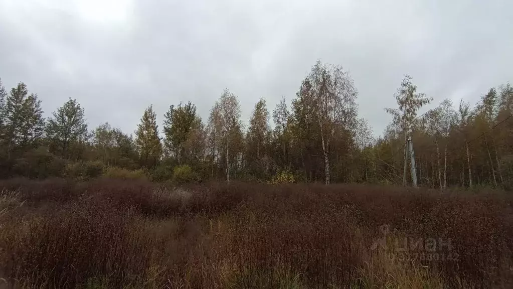 Участок в Московская область, Шатура  (6.0 сот.) - Фото 0