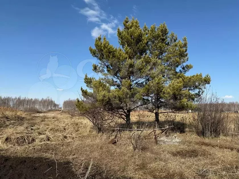 Участок 7 сот. (ИЖС) - Фото 1