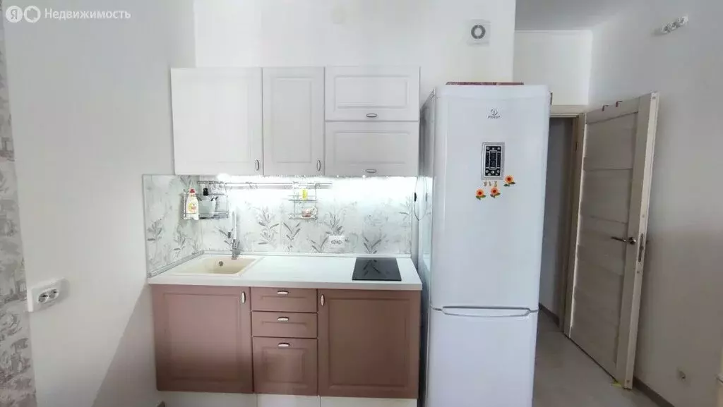 Квартира-студия: Санкт-Петербург, Арцеуловская аллея, 21 (24.2 м) - Фото 2