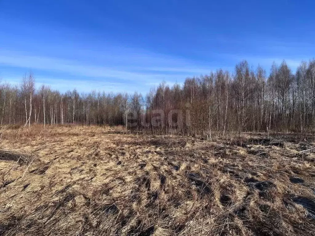 Участок в Костромская область, Костромской район, Апраксинское с/пос, ... - Фото 1