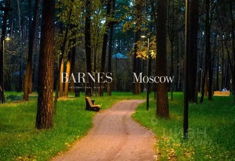 Участок в Московская область, Одинцовский городской округ, д. Шульгино ... - Фото 2