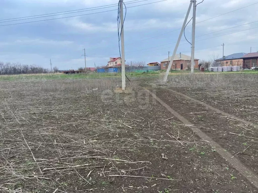 Участок в Ростовская область, Мясниковский район, с. Большие Салы ул. ... - Фото 1