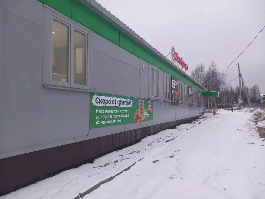Торговая площадь в Нижегородская область, Семеновский городской округ, ... - Фото 0