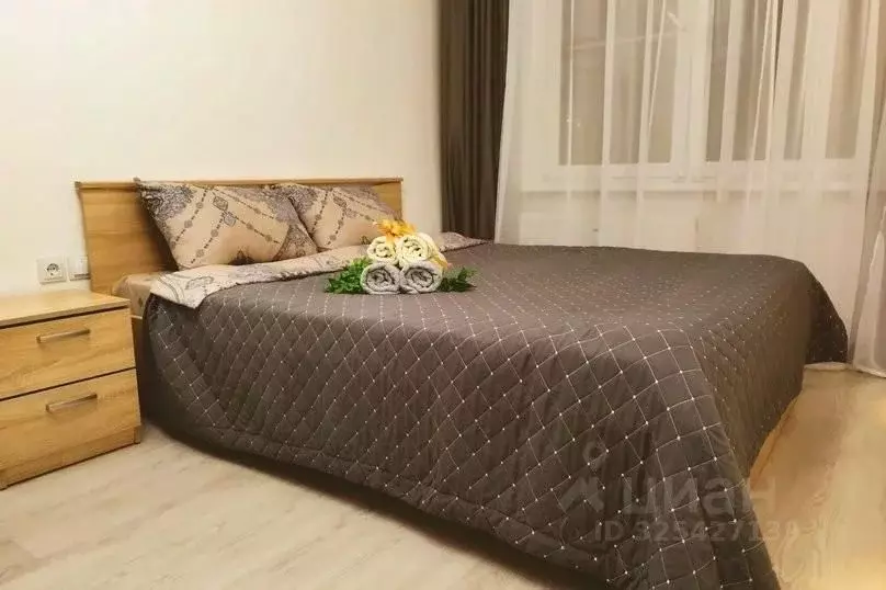 1-к кв. Псковская область, Псковский район, Завеличенская волость, д. ... - Фото 2