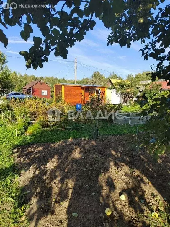 Участок в Волхов, улица 7-я Линия, 227 (6 м) - Фото 1