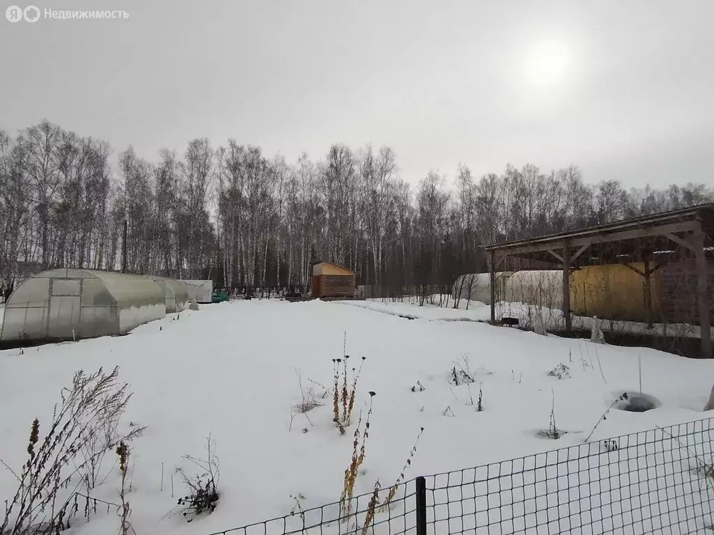 Участок в Миасский городской округ, СНТ Смородинка-2 (5.0299997 м) - Фото 1