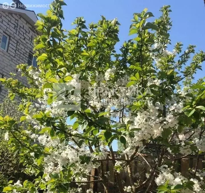 Дом в деревня Ивановское, 25 (177 м) - Фото 1