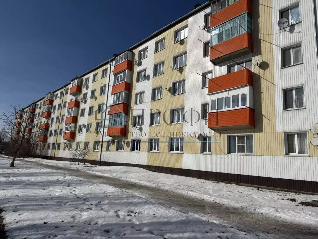 3-к кв. Белгородская область, Новый Оскол Дорожная ул., 9 (59.0 м) - Фото 1