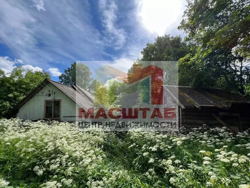 Участок в Ленинградская область, Всеволожский район, Свердловское ... - Фото 1