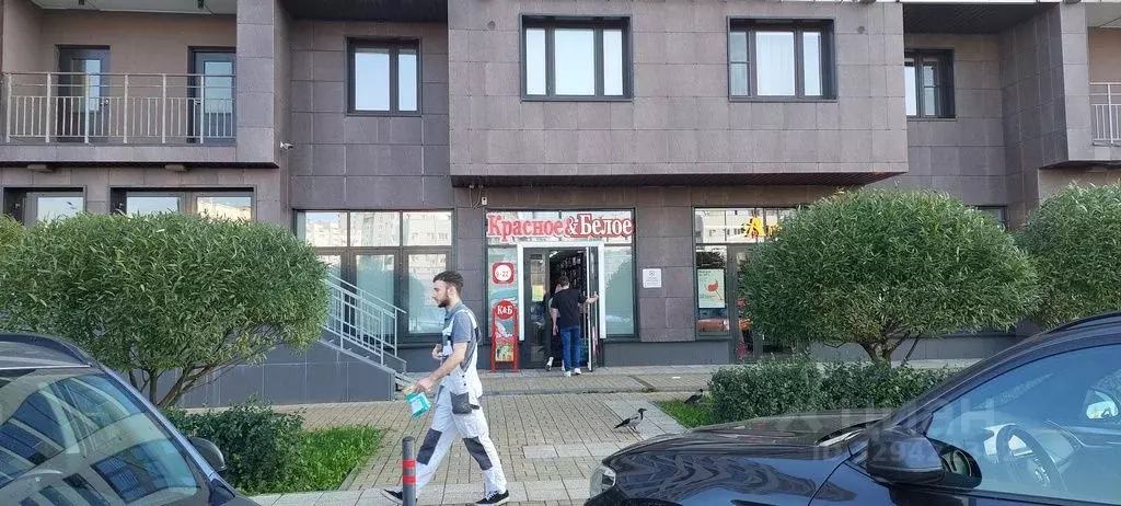 Помещение свободного назначения в Санкт-Петербург Приморский просп., ... - Фото 1