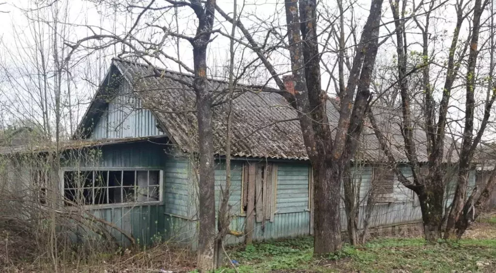 Помещение свободного назначения в Тверская область, с. Лесное ул. ... - Фото 1