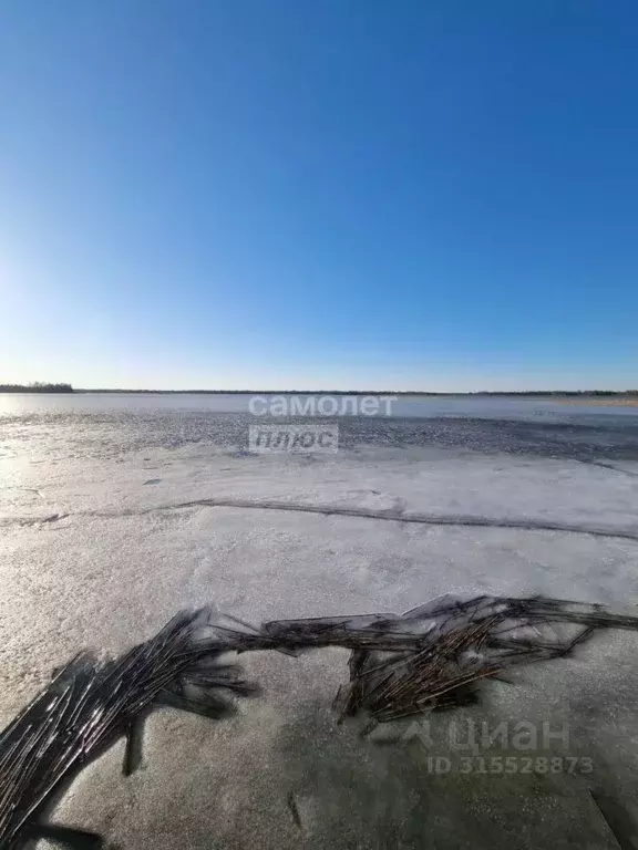 Участок в Новгородская область, Мошенской муниципальный округ, д. ... - Фото 1
