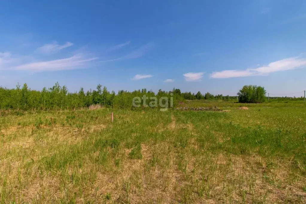 Участок в Тюменская область, Тюмень Зеленый Бор ДНТСН,  (10.98 сот.) - Фото 1