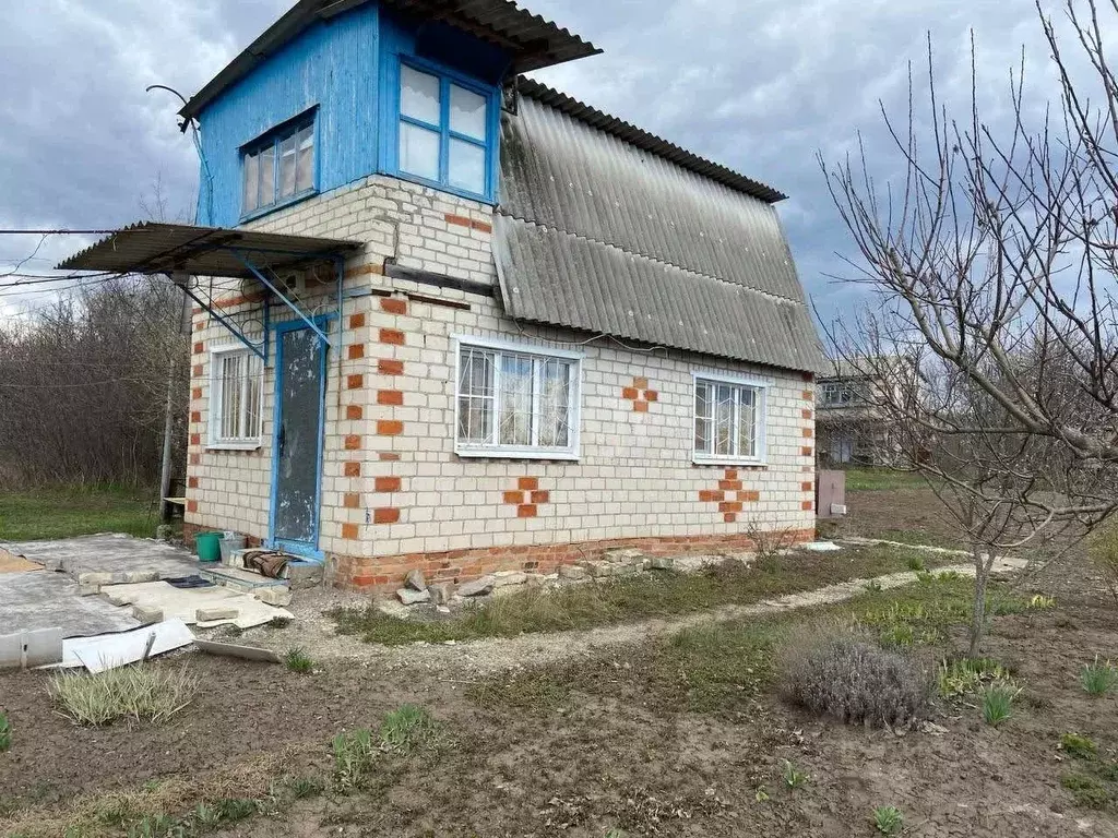 Дом в Белгородская область, Корочанский район, Шляховское с/пос, ... - Фото 1