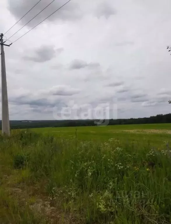Участок в Калужская область, Село Ферзиково с/пос, д. Бунаково  (9.0 ... - Фото 1